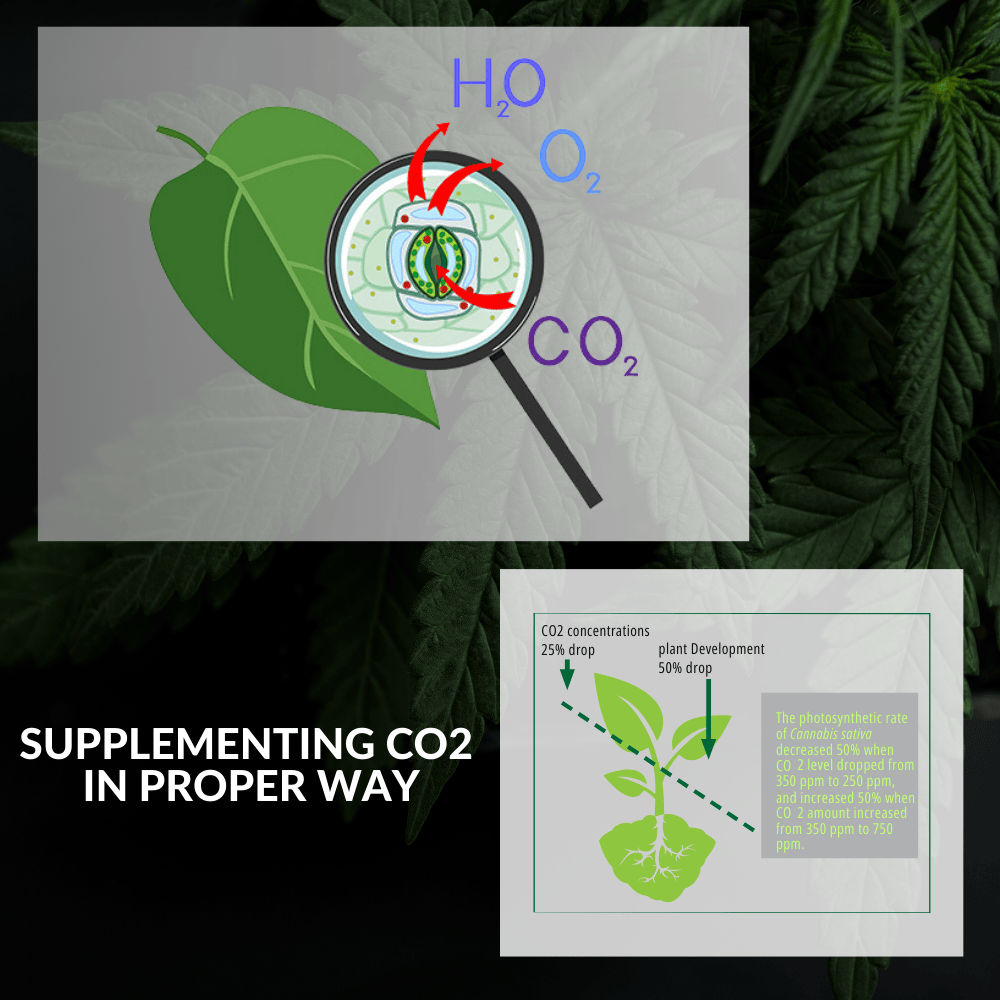 CO2 - Supplementing CO2 In Proper Way_副本