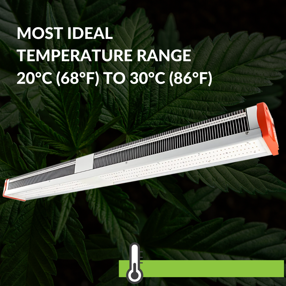 Temperature - DIF Consideration